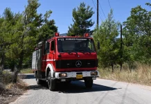 Φωτιά στα Βασιλικά Θεσσαλονίκης: Υπό μερικό έλεγχο το μέτωπο – Προηγήθηκε μήνυμα του 112 για ετοιμότητα