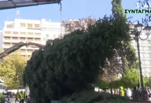 Αθήνα & Θεσσαλονίκη υποδέχονται τα χριστουγεννιάτικα δέντρα τους – Στολισμός στις 27 Νοεμβρίου