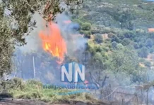Φωτιά σε δασική έκταση στη Μαμουλάδα Ναυπακτίας – Μεγάλη κινητοποίηση της Πυροσβεστικής