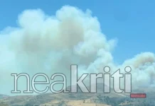 Φωτιά στο Μελιδοχώρι Ηρακλείου: Αναζωπυρώσεις λόγω ισχυρών ανέμων – Μήνυμα 112 για αυξημένη ετοιμότητα