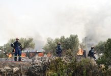 Κουβαράς: Καλύτερη η εικόνα της πυρκαγιάς – Ισχυρές επίγειες και εναέριες δυνάμεις επιχειρούν στα καπνογόνα σημεία